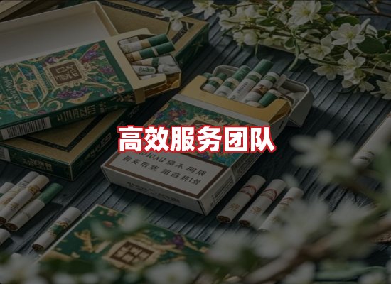 专业团队